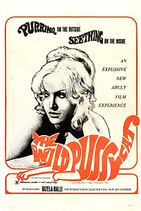 Главный постер фильма «Горячая месть (1969)»