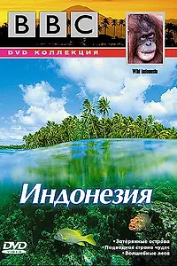 Постер к сериалу «BBC: По странам и континентам. Индонезия (1999)»