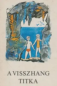 Постер к фильму «Тайное эхо (1973)»