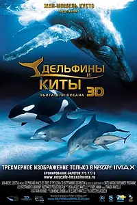 Постер к фильму «Дельфины и киты 3D (2008)»