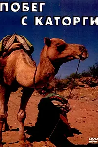 Постер к фильму «Побег с каторги (1979)»