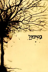 Постер к сериалу «В лечении (2005 - 2008)»