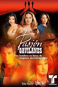 Постер к сериалу «Тайная страсть (2003 - 2022)»
