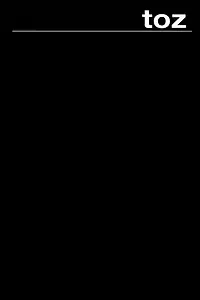 Главный постер фильма «Toz (2005)»