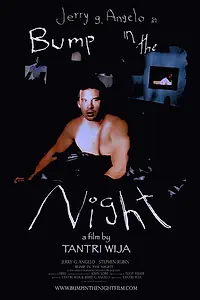 Постер к фильму «Bump in the Night (2007)»