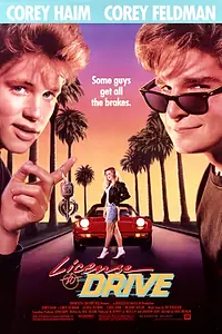 Постер к фильму «Водительские права (1988)»