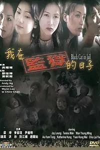 Главный постер фильма «Чёрная кошка 3: В тюрьме (2000)»