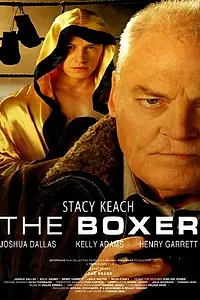 Постер к фильму «Боксер (2009)»