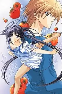 Главный постер мультсериала «Фигурный калейдоскоп (2005)»