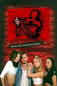 Постер к сериалу «Без бюста нет рая (2006)»