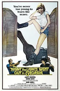 Постер к фильму «Ночь, когда погасли огни в Джорджии (1981)»