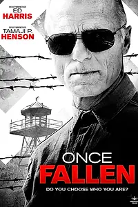 Постер к фильму «Единожды падший (2010)»