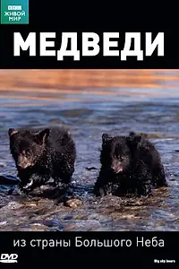 Главный постер фильма «BBC: Медведи из страны большого неба (2006)»