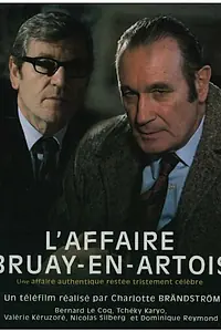 Главный постер фильма «Дело Брюэй-ан-Артуа (2008)»