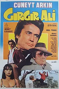 Постер к фильму «Али приколист (1982)»