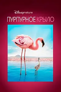 Главный постер фильма «Пурпурное крыло (2008)»