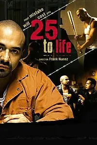 Постер к фильму «25 to Life (2008)»