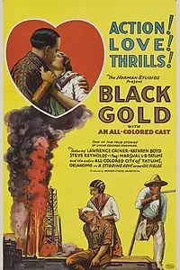 Главный постер фильма «Черное золото (1928)»
