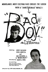Постер к фильму «Bad Boy (1957)»