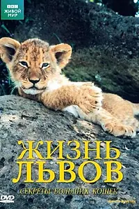 Главный постер фильма «BBC: Жизнь львов (2000)»
