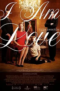 Главный постер фильма «Я – это любовь (2009)»