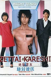 Постер к сериалу «Идеальный парень (2008 - 2009)»