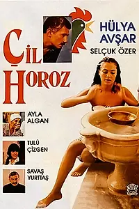 Постер к фильму «Çil horoz (1988)»