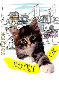 Главный постер фильма «Котенок (1996)»