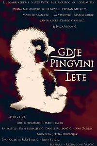 Постер к фильму «Gdje pingvini lete (2008)»