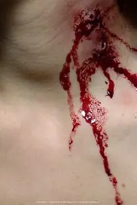 Постер к фильму «Blood + Roses (2010)»
