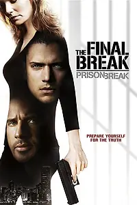 Постер к фильму «Побег из тюрьмы: Финальный побег (2009)»