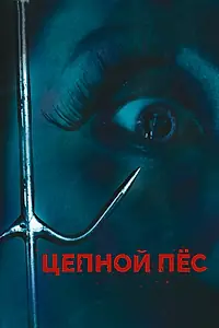 Постер к фильму «Цепной пес (2010)»