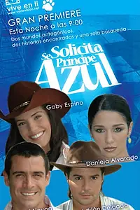 Постер к сериалу «В поисках идеального мужчины (2005)»