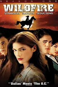 Постер к сериалу «Дикий огонь (2005 - 2008)»