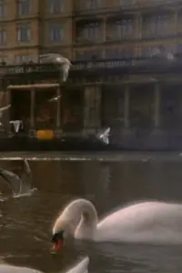Постер к фильму «Ferment (1999)»