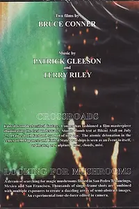 Главный постер фильма «Перекрестки (1976)»