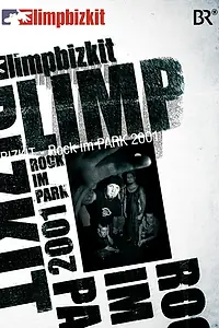Главный постер фильма «Limp Bizkit: Rock in the Park (2008)»