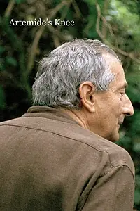 Главный постер фильма «Колено Артемиды (2008)»