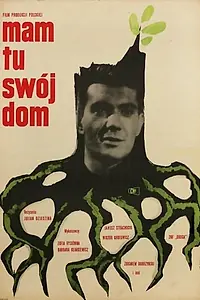 Главный постер фильма «Старая вражда (1963)»