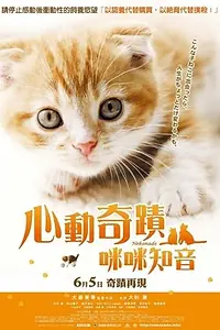 Постер к фильму «Нэконадэ (2008)»