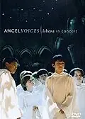 Постер к фильму «Angel Voices: Libera in Concert (2007)»