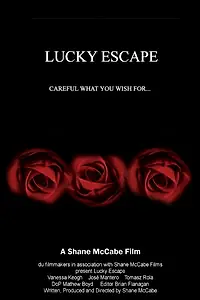 Постер к фильму «Счастливый исход (2007)»