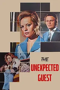 Главный постер фильма «Tanri misafiri (1972)»