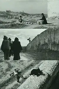 Главный постер фильма «La falaise (1999)»