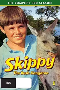 Главный постер сериала «Скиппи (1967 - 1970)»