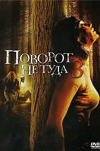 Постер к фильму «Поворот не туда 3 (2009)»