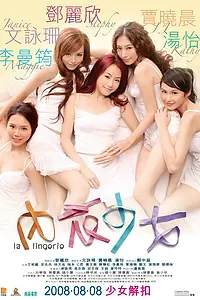 Главный постер фильма «Дамское белье (2008)»