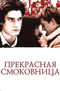 Постер к фильму «Прекрасная смоковница (2008)»