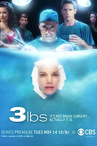 Постер к сериалу «3 Фунта (2006)»
