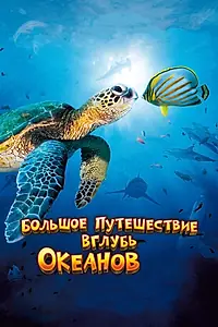 Главный постер фильма «Большое путешествие вглубь океанов 3D (2009)»